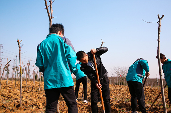 “携手植树，共创蓝天”丨南京新华师生共筑新华育才林