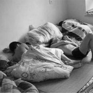 ����Ⱥ�������