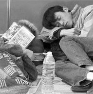 �������Ⱥ�����������