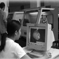 ���Բ�������������Ա�ڹ���